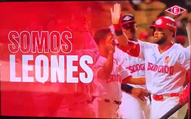 Arte Somos Leones